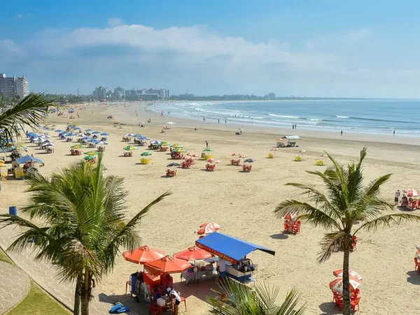 Bertioga  (SP), 05/01/2025 - Praia da Enseada. Foto: Diego Bachiega/Prefeitura de Bertioga