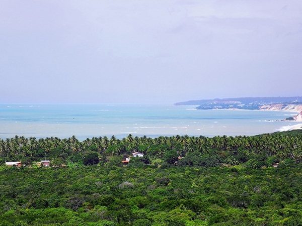 Praia de Jacarapé, Zona Sul de João Pessoa, na Paraíba — Foto: Kleide Teixeira/Arquivo Pessoal
