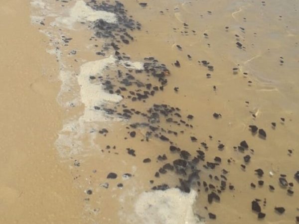 Animais foram encontrados neste domingo (27) na praia de Tabatinga. Outra tartaruga foi encontrada morta em Natal, nesta segunda (28) — Foto: Reprodução.