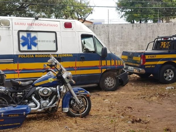 Ambulância, caminhonetes e motocicletas estão entre as viaturas que vão a leilão — Foto: PRF/Divulgação