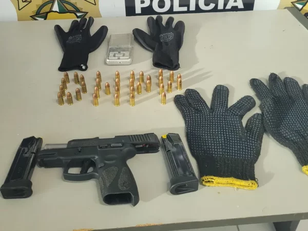 Arma e munições foram apreendidas com suspeito, segundo a Polícia Civil — Foto: PCRN/Divulgação