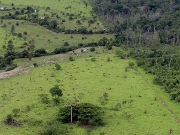 Propriedade rural cadastrada na Amazonia