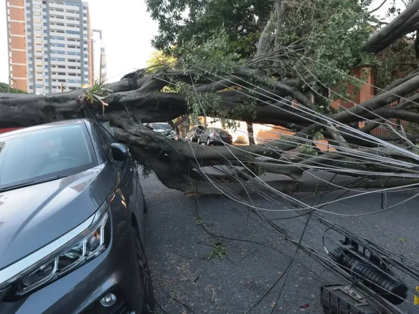 São Paulo (SP), 10/12/2025 -  Queda de árvores sobre carros na rua Paula Ney, na Vila Mariana. Foto: Paulo Pinto/Agência Brasil