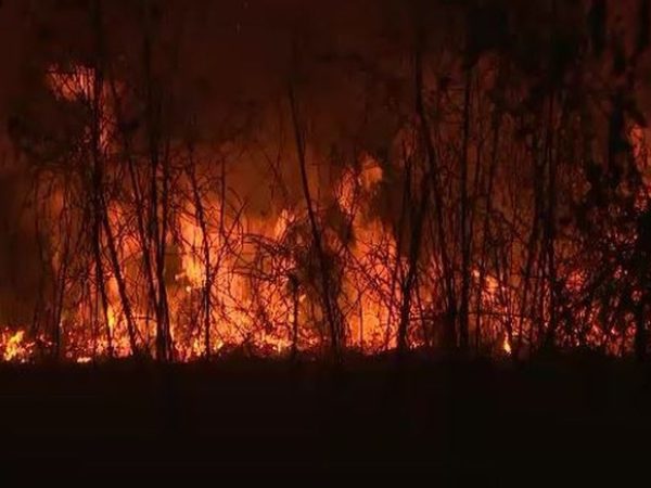 Paredão de fogo se estendia por mais de 100 metros em área no interior do Acre no sábado (24) — Foto: Reprodução/Rede Amazônia Acre.
