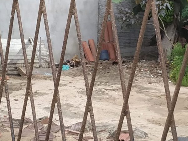 Corpo da bebê foi encontrado na manhã desta quarta-feira (27) no quintal de uma casa no bairro Rosa dos Ventos, em Parnamirim — Foto: Alan Cléber/Inter TV Cabugi