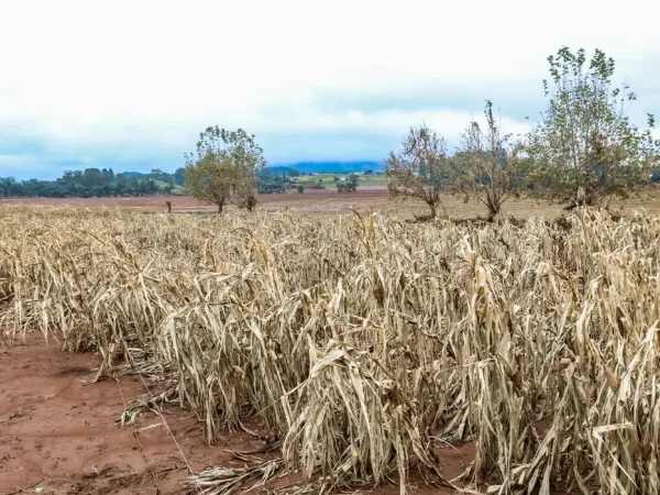 colinas (RS), 19/05/2024 – CHUVAS RS- Destruição -  O rio Taquari subiu 24 metros nos últimos dias causando destruição na pequena cidade de Colinas. Foto: Rafa Neddermeyer/Agência Brasil