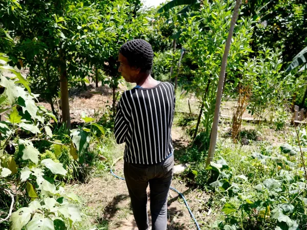 Rio de Janeiro (RJ), 26/03/2026 - Horta comunitária do programa Hortas Cariocas, no Salgueiro. Hortas agroecológicas e ancestrais no Morro do Salgueiro, zona norte da cidade. Foto: Tânia Rêgo/Agência Brasil