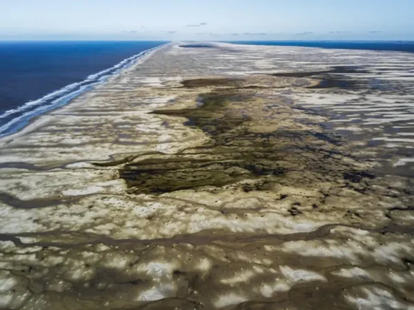 Região do Albardão é uma das mais importantes para a manutenção da biodiversidade do Atlântico Sul