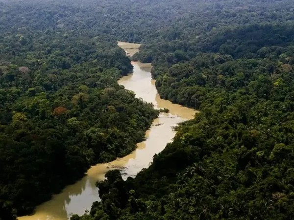 El parque ambiental de Jamanxim es un santuario ecológico de 1.300 hectáreas donde viven especies autóctonas de la Amazonia