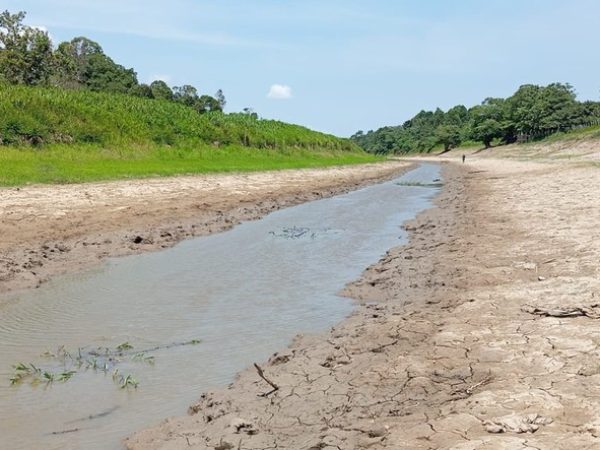 Governo federal reconhece situação de emergência por seca em cinco cidades do RN — Foto: Sapopema / Divulgação