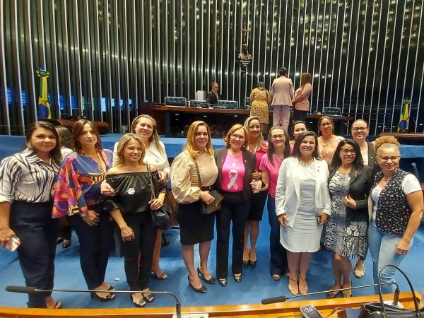 A senadora frisou que, ao longo de dez anos, foram aprovadas 83 leis em defesa das mulheres. — Foto: Divulgação