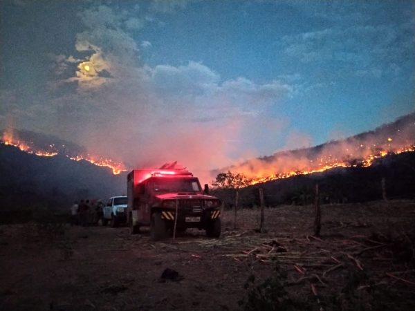 Após seis dias de combate às chamas, incêndio florestal é controlado na região Oeste potiguar. — Foto: Corpo de Bombeiros/Divulgação