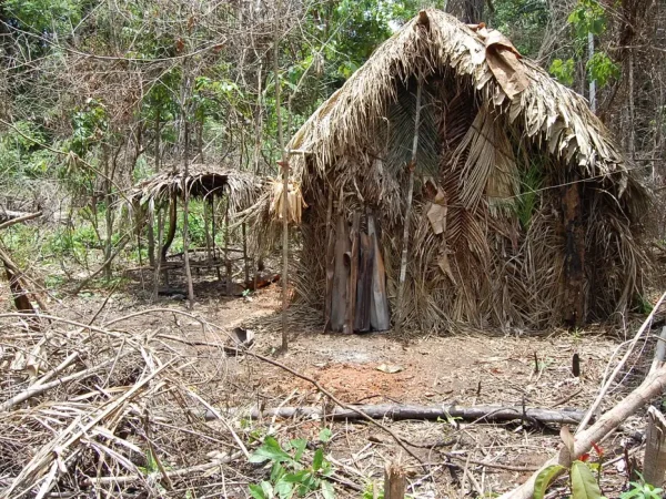Índio Isolado da TI Tanaru - O sobrevivente que a Funai acompanha há 22 anos