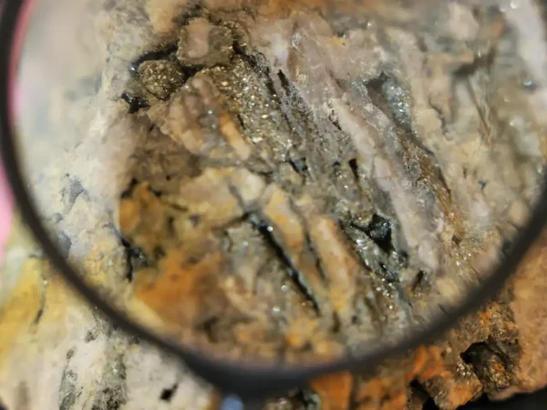 Rio de Janeiro (RJ), 11/03/2025 -  A Universidade Federal Rural do Rio de Janeiro (UFRRJ) inaugura o Museu de Rochas e Minerais da UFRRJ, no campus Seropédica, na região metropolitana do Rio de Janeiro. Foto: Tomaz Silva/Agência Brasil