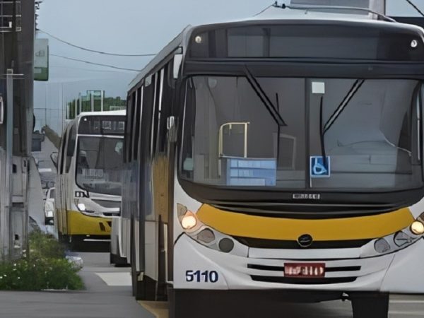 Ônibus do transporte público em Natal (RN) — Foto: Divulgação/STTU
