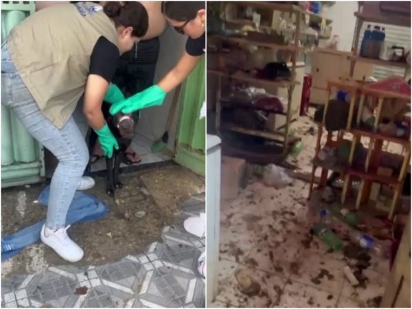 umdoistres Animais estavam em condições de maus-tratos em residência em Mossoró — Foto: Reprodução/Inter TV Cabugi