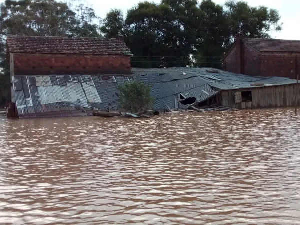 Chuvas no RS: impactos na vida de quilombolas e pequenos agricultores. - Unidade produtiva camponesa submersa. Perda total de plantio, produção, maquinário e infraestrutura.  Foto: Comunicação MPA