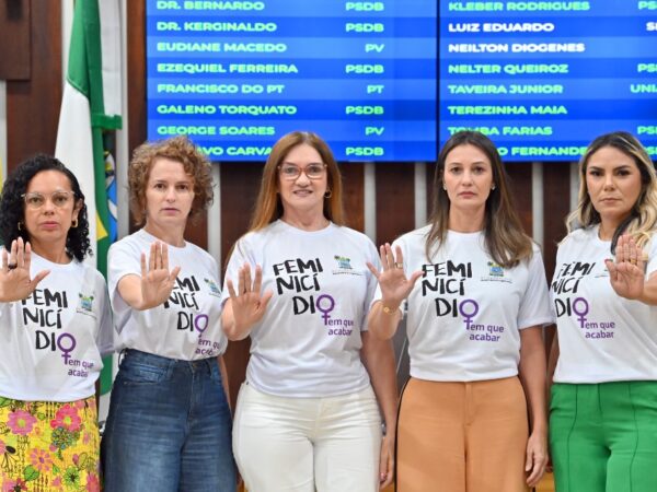 A Audiência pública será conduzida pela Frente Parlamentar da Mulher e envolverá as cinco deputadas estaduais. — Foto: João Gilberto