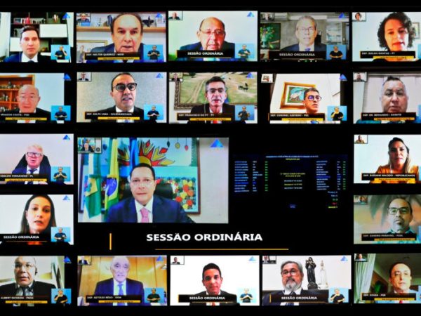 Sessão foi realizada por videoconferência, nesta quarta-feira (29) — Eduardo Maia