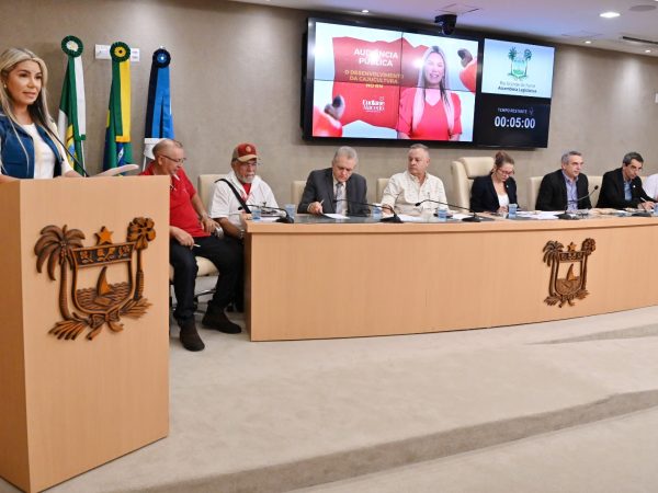 Audiência pública debateu meios de garantir o desenvolvimento da Cajucultura no RN. — Foto: João Gilberto