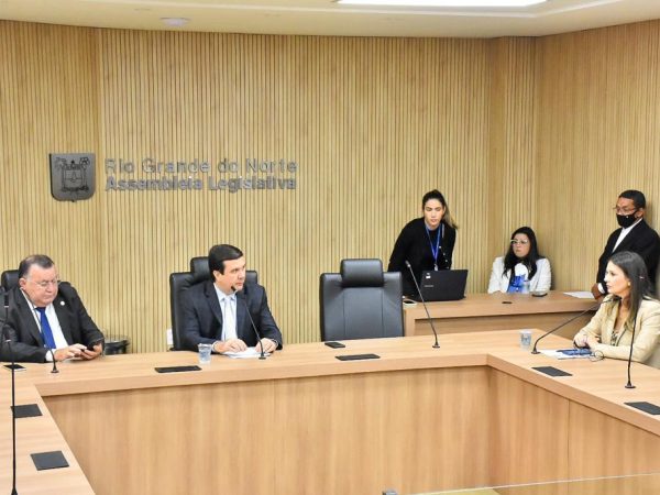 Reunião da Comissão de Saúde na Assembleia Legislativa. — Foto: João Gilberto
