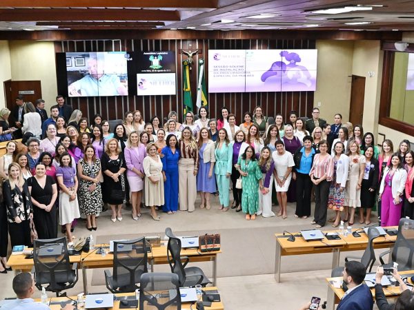 O novo órgão do Legislativo tem por finalidade a defesa e a promoção da igualdade de gênero. — Foto: Eduardo Maia