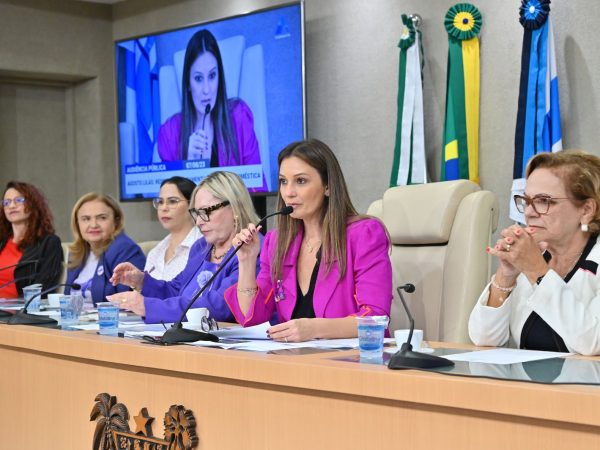 No debate, os participantes discutiram ações que podem ser realizadas evitar novos casos de feminicídio. — Foto: João Gilberto