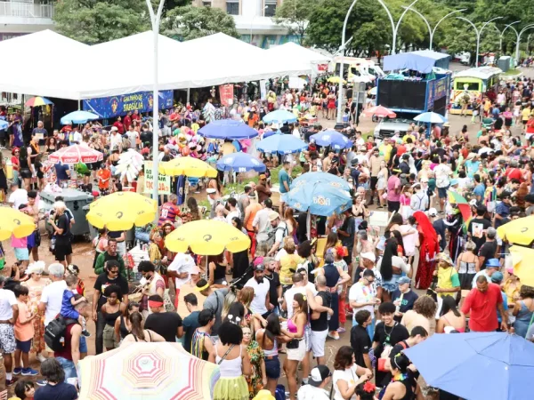 Brasília, (DF) – 10/02/2024 – Carnaval de rua, Galinho de Brasília. Foto Valter Campanato/Agência Brasil.