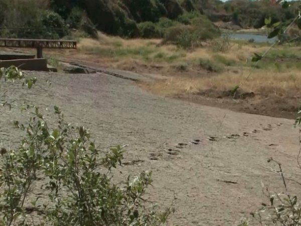 Vale dos Dinossauros, em Sousa — Foto: Reprodução / TVCB