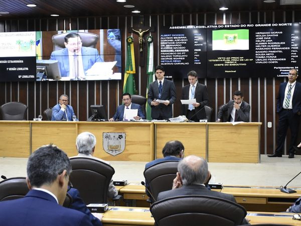 Na votação, apenas duas matérias de iniciativa da Casa Legislativa tiveram os vetos rejeitados pelos deputados — Foto: João Gilberto