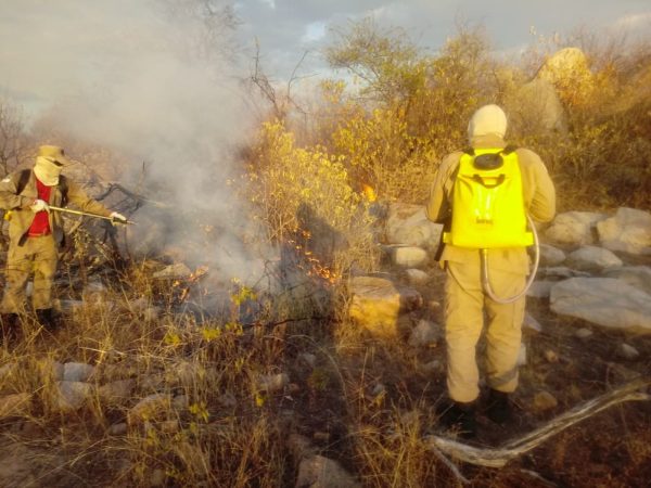 O Incêndio florestal aconteceu na zona rural de Assú, no RN — Foto: Corpo de Bombeiros/Divulgação.
