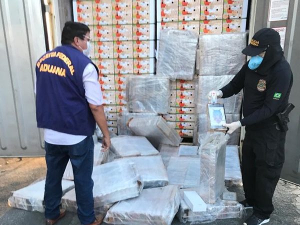 Porto de Natal: Quase 704 kg de cocaína foram encontrados dentro de container carregado de mangas que seguia para a Europa — Foto: PF/Divulgação