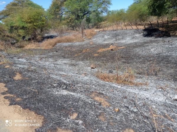Equipe da secretaria de meio ambiente de Janduís levou mais de 1 hora pra controlar o fogo — Foto: Focoelho.com