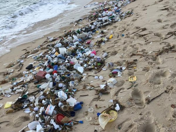 Na praia de Barra de Cunhau, em Canguaretama, grande quantidade de lixo foi recolhida — Foto: Divulgação