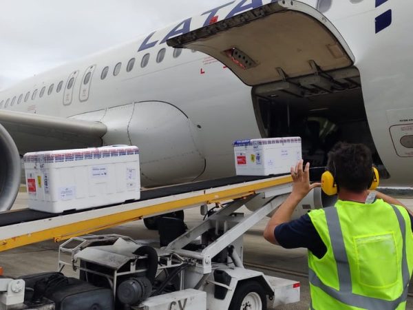 Lotes chegaram em dois voos separados na manhã desta segunda-feira (23). — Foto: Divulgação/Paulo Nascimento