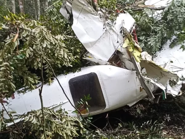 Avião caiu em área de mata no interior do estado do MT — Foto: Divulgação