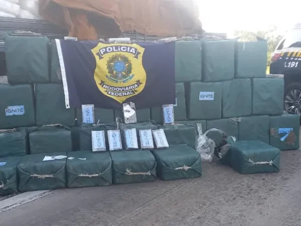 Droga foi encontrada em meio a carga de caminhão em São José de Mipibu, na Grande Natal. — Foto: PRF/Cedida