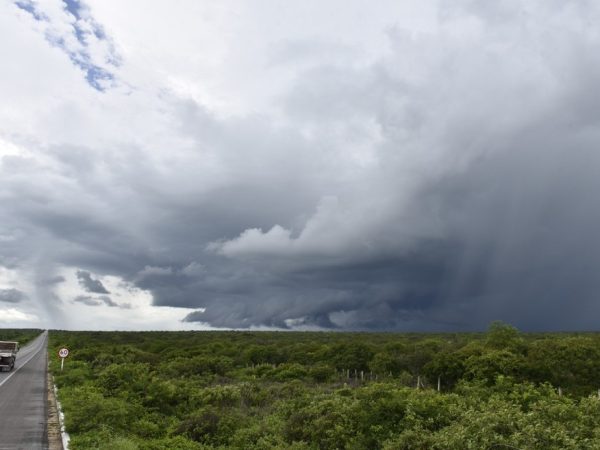 Chuva no interior do Rio Grande do Norte — Foto: Elisa Elsie/governo do RN