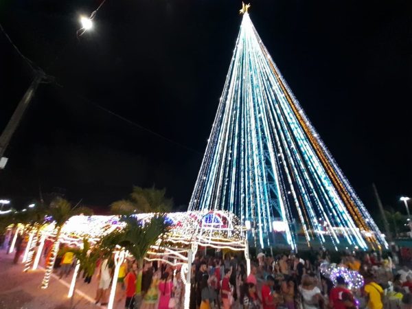 Árvore de Mirassol, em Natal — Foto: Sérgio Henrique Santos/Inter TV Cabugi
