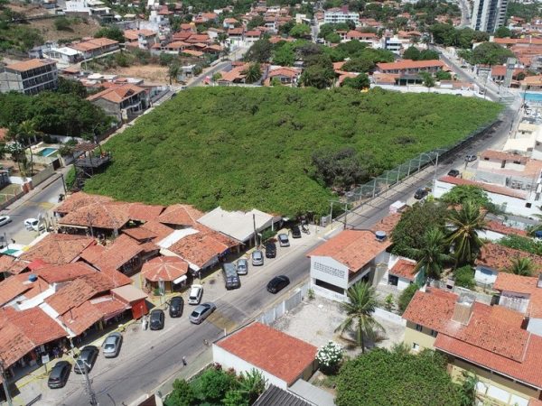 Cajueiro de Pirangi, o maior cajueiro do mundo, em Parnamirim, na Grande Natal. — Foto: Idema/Divulgação