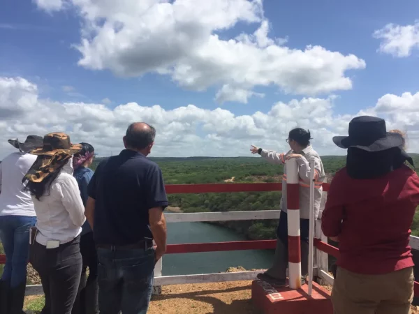 Exploração de ouro vai acontecer em área na zona rural de Currais Novos — Foto: Idema/Divulgação