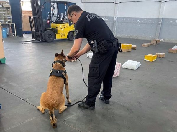 Cães farejadores da PF encontram mais de 1 kg de maconha em unidade dos Correios em Natal — Foto: Divulgação / Polícia Federal