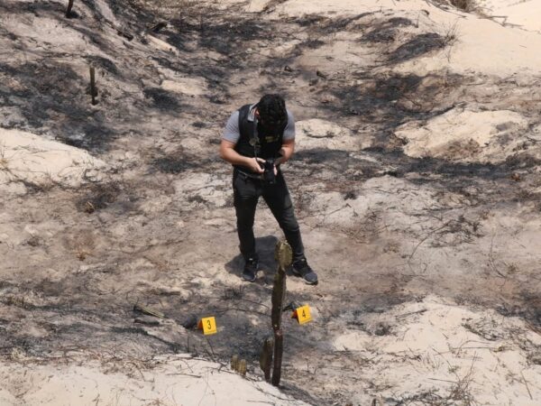 Itep e PF fazem perícia em área atingida por incêndio no Morro do Careca — Foto: Divulgação/Itep