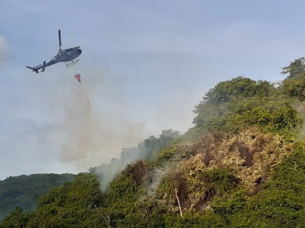 Bombeiros fizeram uma nova atuação para combater as chamas — Foto: Sérgio Henrique Santos/Inter TV Cabugi