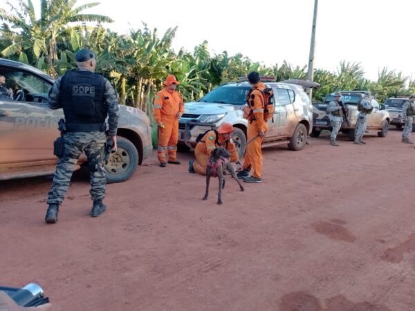 Operação de quinta-feira (29) no cerco aos fugitivos em plantação de banana  — Foto: Ayrton Freire/Inter TV Cabugi