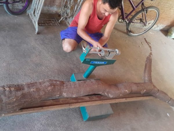 Agricultor colhe macaxeira de 44 quilos e mais de 3 metros no interior do RN — Foto: Arquivo pessoal