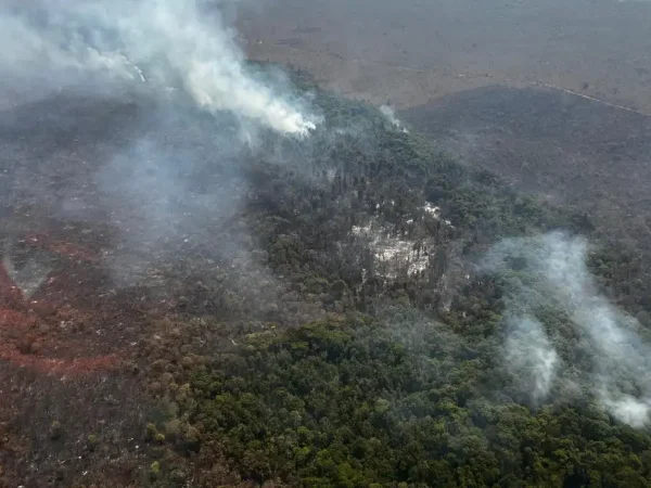 Brasília (DF), 19/09/2024 - Incêndio no Parque Nacional de Brasília. Foto: ICMBio/Divulgação
