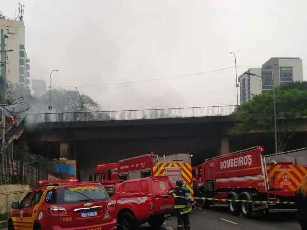 São Paulo (SP), 19/09/2024 - Incêndio atinge viaduto na 23 de Maio. Foto: Gov SP/Divulgação