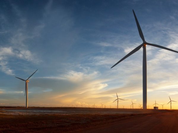 Energia renovável gera 13,5 mil empregos no RN em 2024 — Foto: Sandro Menezes