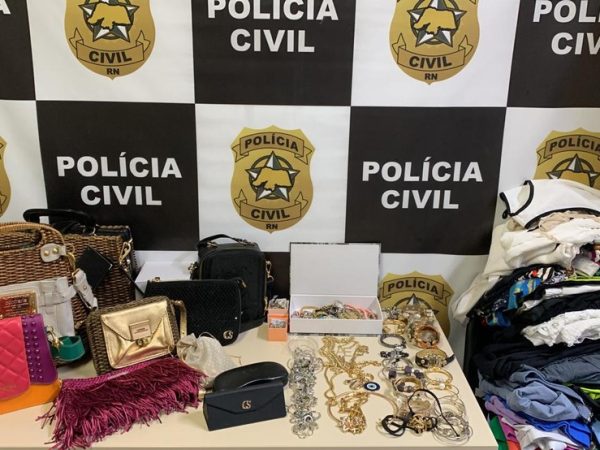 Produtos furtados foram recuperados e devolvidos à dona — Foto: Polícia Civil
